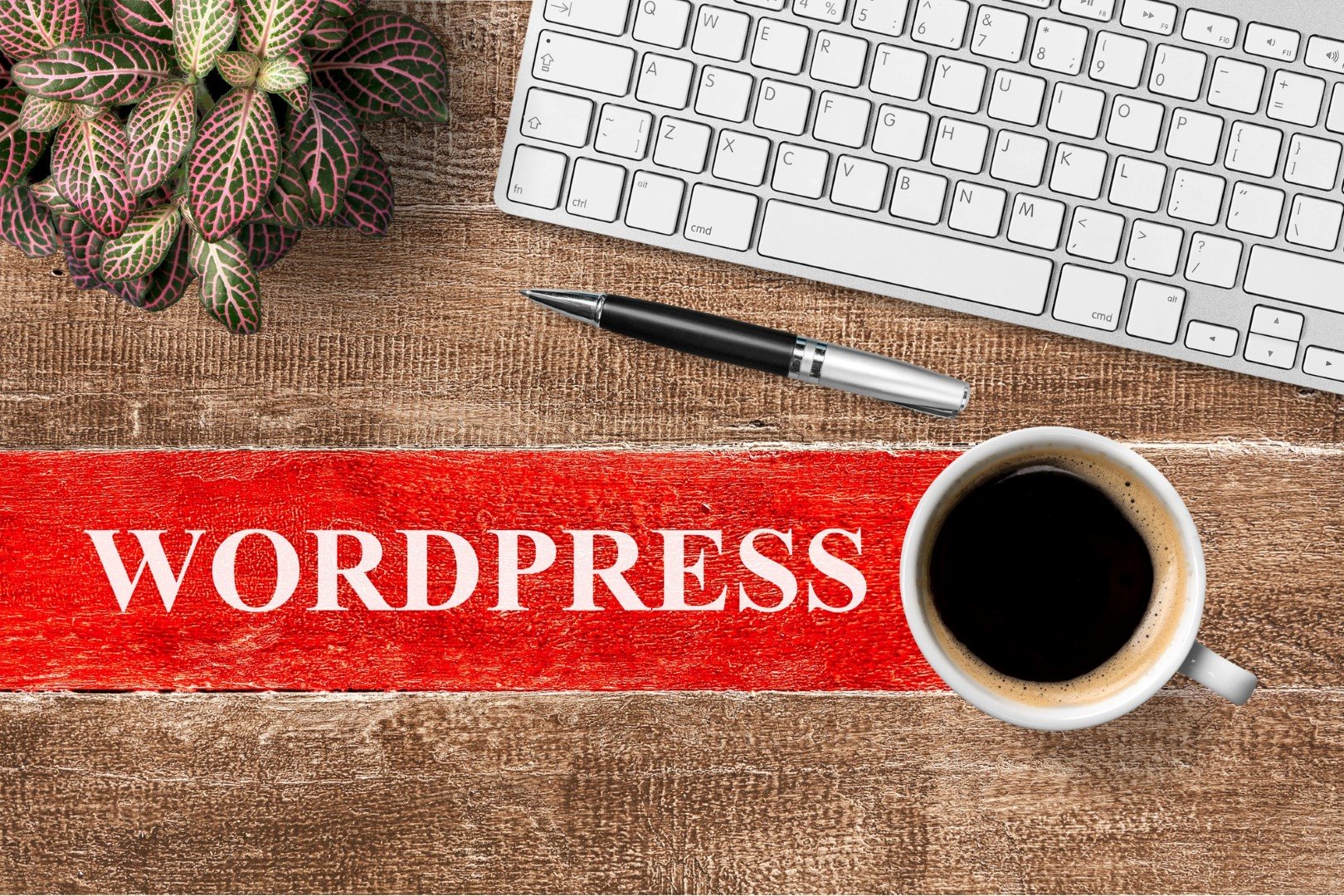 Une formation de site internet avec WordPress